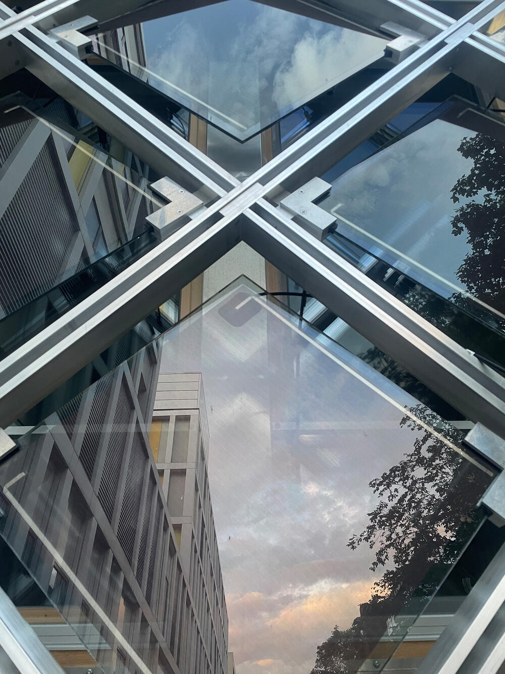 Bild von der Seite „Gürteltier“
